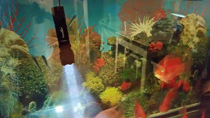 手電PT10,為戰(zhàn)術(shù)而生